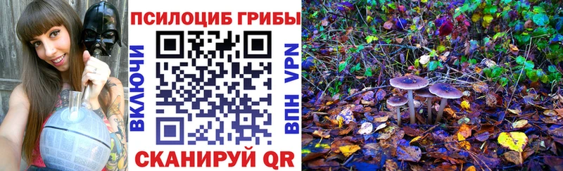 наркошоп  Белинский  дарк нет формула  Псилоцибиновые грибы Psilocybe 