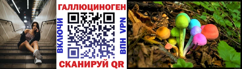 Псилоцибиновые грибы Cubensis Белинский